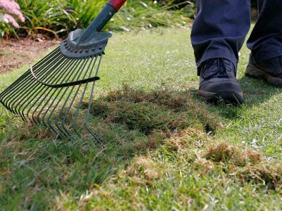 Scarifying-a-lawn-PUB0004542